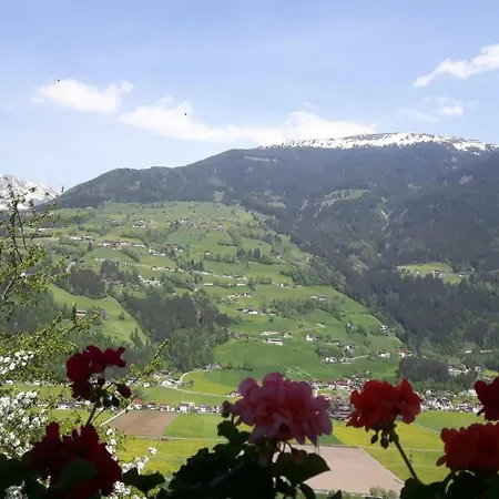 Apart Pollstein Kaltenbach